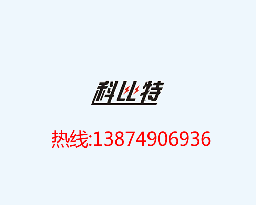 廈門(mén)：部門(mén)聯(lián)合開(kāi)展文物單位防雷專(zhuān)項(xiàng)檢查